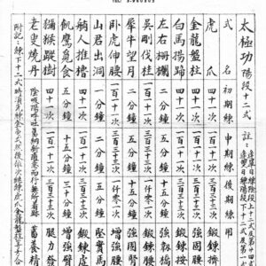 The complete Tai Chi Neigong course 2025 Edition