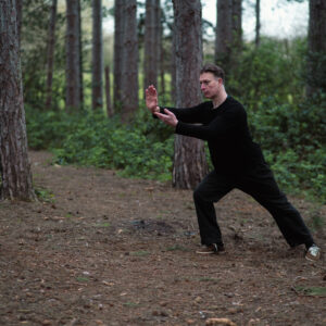 Mastering the t’ai chi Long Form: The 119-Movement "Round Style" Online Course