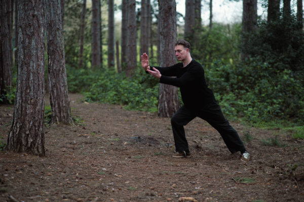 Mastering the t’ai chi Long Form: The 119-Movement "Round Style" Online Course